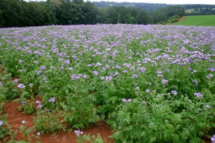 ��������: ��� ������� ��������� �������� ����������� ������ � ��������� � �����