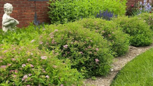 ��� ��������� ������� �� ����������� ��������: ���� ������� �������