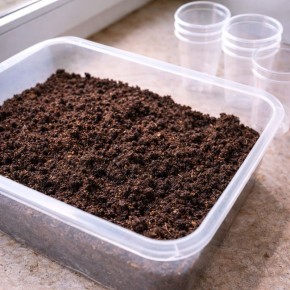 ��� ����������� ����� � �������: ������, ������� ������� �� ������� ������