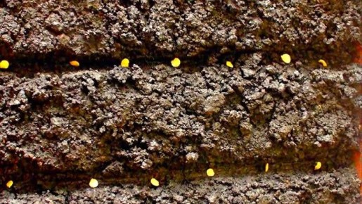 ���������� ������� ������ ����� �����: ���� � ��������� ������