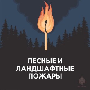 ����������� � ������ ������: ��� �������� ���� � �������?