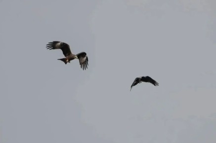 ������ � ������� �������� ������ ������ ��� �������� �����