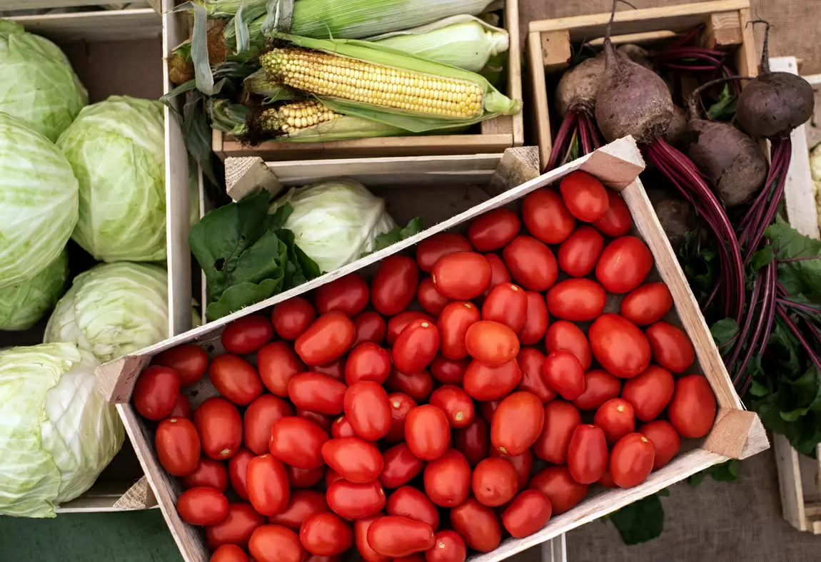 Секреты долгого хранения овощей: как сохранить урожай даже в холодное время года