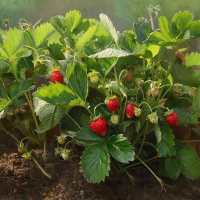 ��� ������� ��������� ����� ��������: ������� �������� �������