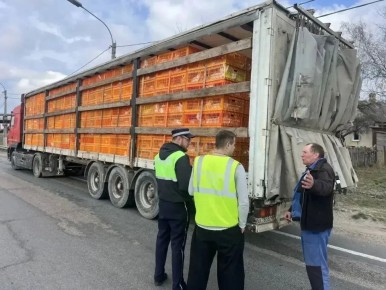 ���������� �������� �� ������� �������� �������: ������������ ��������� �� ������ ��������