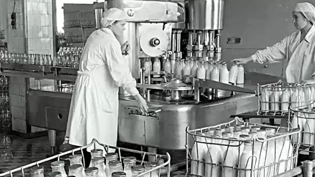 Потерянные ценности: продукты из СССР, которые сегодня вызывают недоверие