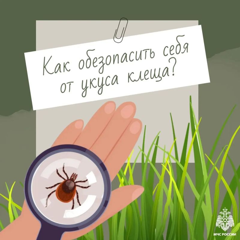 ��������: �����!. � �������� ����� �������������� �����, ������� ����� ���� ���������� ������� �������� � ������������ ��������� ������ ��� ��� �����, ��� � ��� ��������