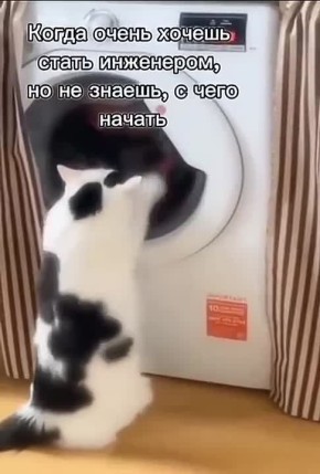 �� �������, ����� ����� ������ ����� �������������� ���������, �� �� ������ � ���� �������