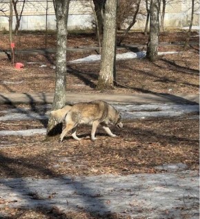 ��������, ������� �� �����, �������� � �����