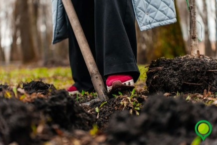 � ��������� ���� ��������� 15 ����� ��������