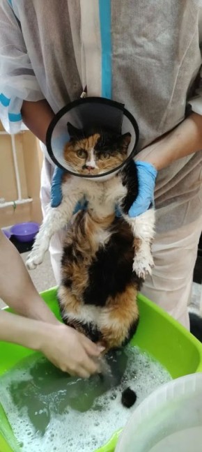 ������� ����� � ������� ���� �� ������ ��-�� ��������� ��������