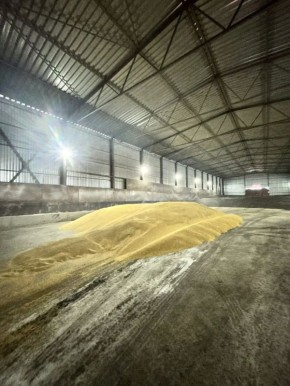 � ���������� ������ �������� ������� ������� �������� ����� 132 ���� ����� ������