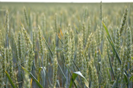 ����������� ��������� �������: ��� ��������� ������������ �������� ��� ������������� ������