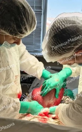 �������� ������������ ������ �������� ���������� �� ���������� ��������