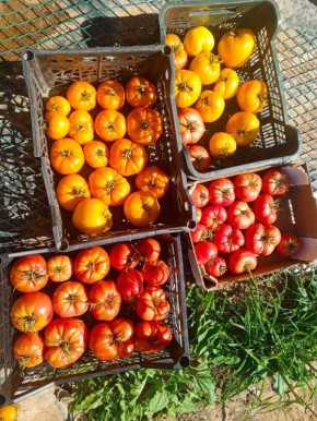 ������ ������: ����� �����������