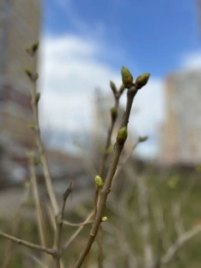 ������ ����!. ����������� ��������� ��� ��������� � ���������� �������, ����� ������� �������� ����� �� ������ ��� �������� ������ - ��� ������, ������� ���������� ������ � ������������ ������� ���� ��� ���� ����...