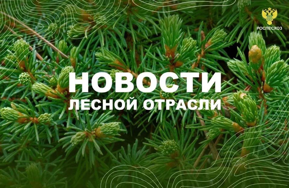 ���������: ���������: ��������� ������� ����� ��������������� ��������������