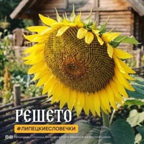 ������� � �������� ������� �� +4�C �� +9�C