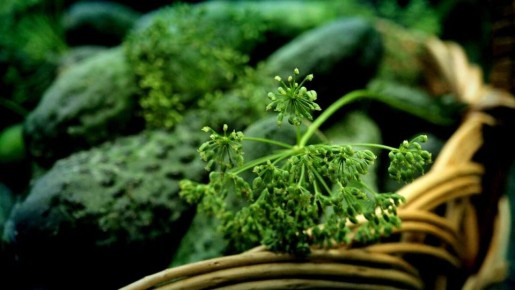 ��� ������ ������ �����: ����������� ������ ��� ��������