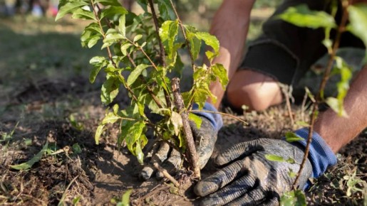 �������� ��������� �������� ������� �������� � ����� ������