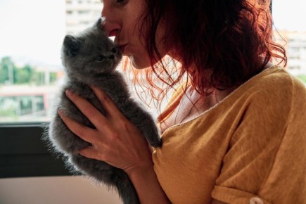 ��� ����� ���� ����� ������� ����� ������: ������������ �������� ������