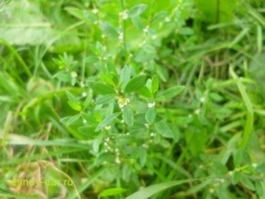 ����� ������: ���������� �������� � ����� ���������