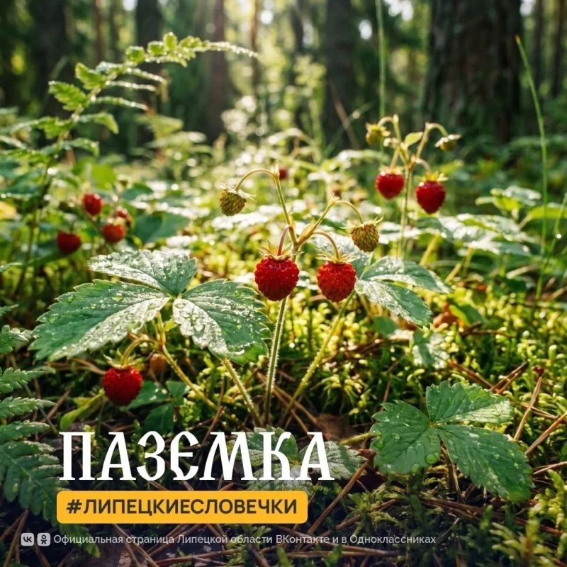 ������� � �� ���� +7�C... +12�C, ��������� �����