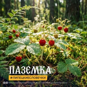 ������� � �� ���� +7�C... +12�C, ��������� �����