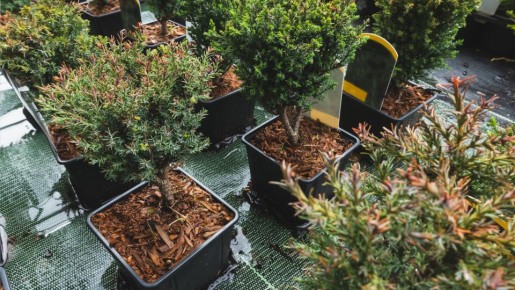 ����������� �������: ��� ��������� ��� ������������ ������ � �������� ������� ������