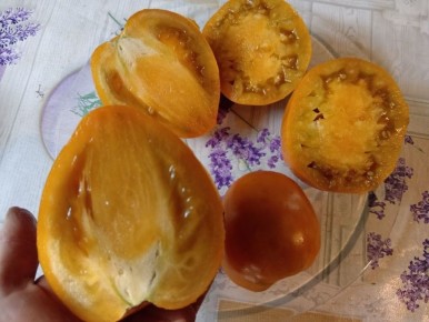 ������ ������ ���������: ��������� ����� ����� �������� ���� ���������