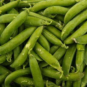 ��� ��������� ���������� ����� ��� �������� ������