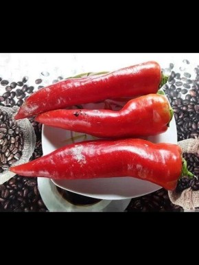 ����� ����� �������: ������� ������� ������ � �������� ������