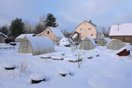 ���� � �������: ���������� ��� �������� ������?