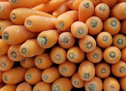 ���������� ����� ������� ��� ������ �������