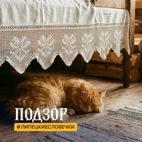 ������� �����, ���� � ����� � �������� �� 15-20 �/� � �������� �������