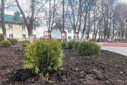 ����������� ��������-������ ������������ � �������� �� ����������� ����ѻ