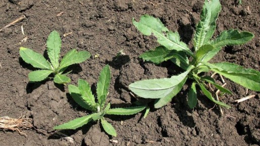 ��������� ������� ������ � ���������: 7 ������� ��� ����� �����������