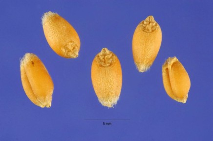 ������� ����� ������: �� ������� �� ���������