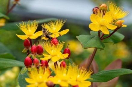 ����� ��������� ����� ����� ��������: �� ��������� �� �������������