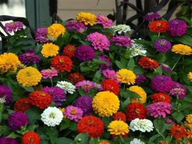 ������� � ������ � ������: ������� ��������� ����������� � ����