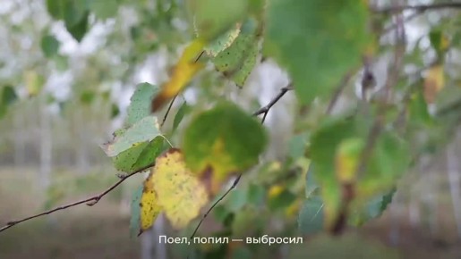 ����� ���������: ���� �� ������� � ������ ���� ������, ������� ������� ����� � ������� ������ � ����