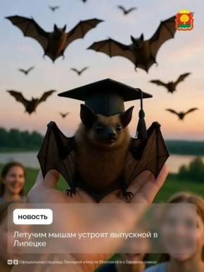 ��������� � ������� �����