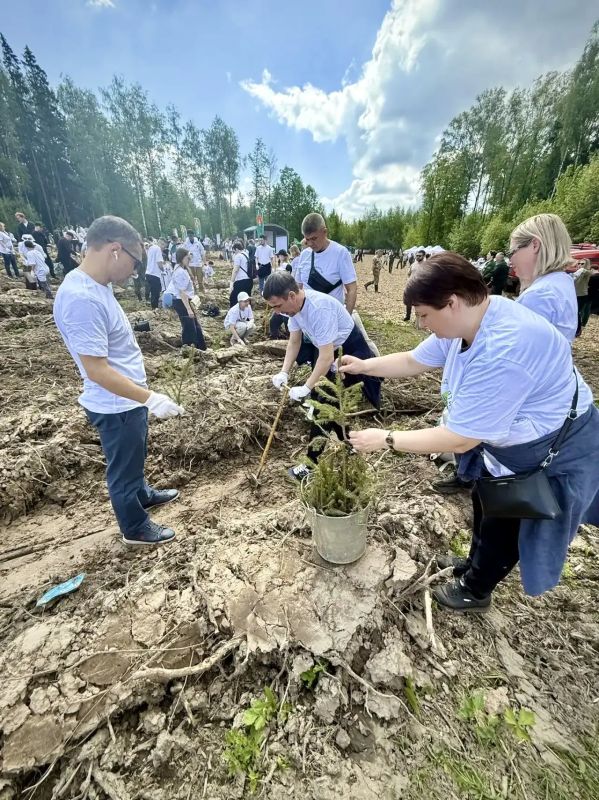 В Химках прошла акция «Сад памяти» с участием членов ТИК и УИК В Химках прошла акция «Сад памяти» с участием членов ТИК и УИК