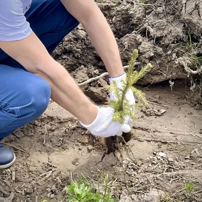 В Химках прошла акция «Сад памяти» с участием членов ТИК и УИК В Химках прошла акция «Сад памяти» с участием членов ТИК и УИК