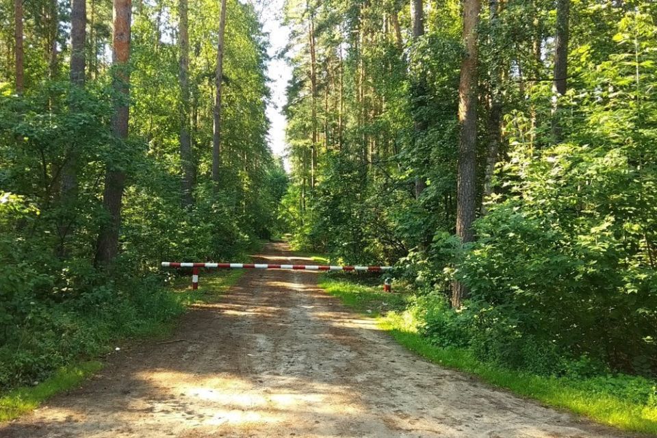В лесах региона вводится особый противопожарный режим