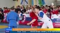 Всероссийские соревнования по самбо среди сельской молодежи прошли под Липецком
