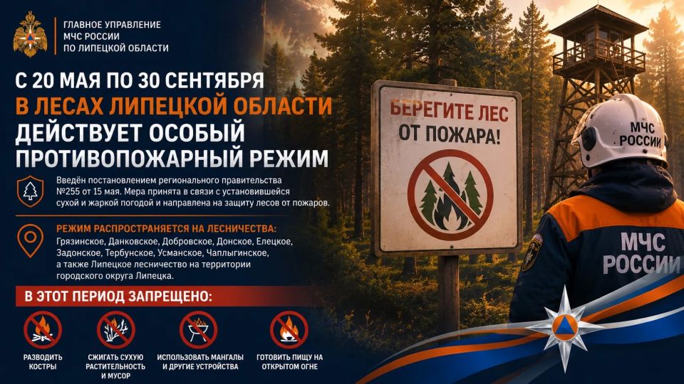 В лесах Липецкой области — особый противопожарный режим