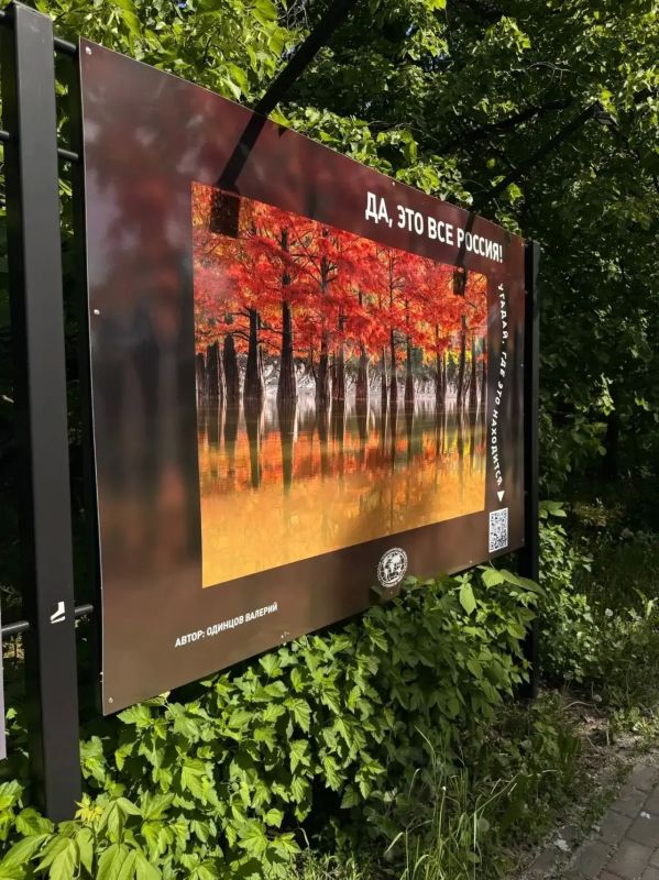 В нашем городе открылась уникальная фотовыставка «Да, это все Россия» В нашем городе открылась уникальная фотовыставка «Да, это все Россия»