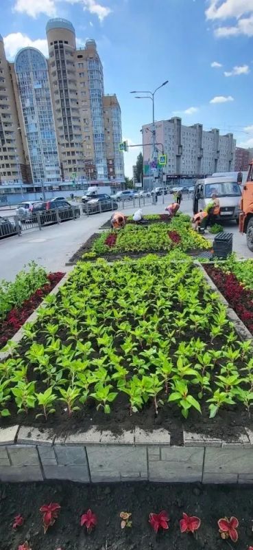 Зеленхоз продолжает преображать Липецк Зеленхоз продолжает преображать Липецк