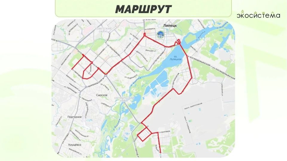 На улицы Липецка вновь выходит «Зелёный автобус» На улицы Липецка вновь выходит «Зелёный автобус»